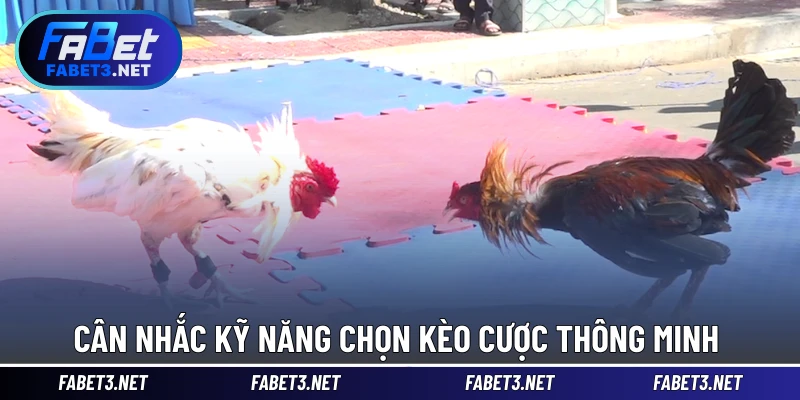 Cân nhắc kỹ năng chọn kèo cược thông minh 