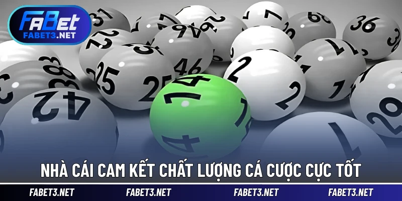 Nhà cái cam kết chất lượng cá cược cực tốt