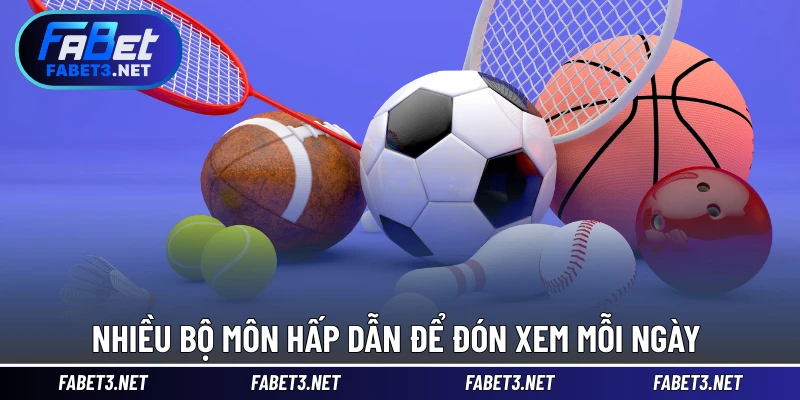 Nhiều bộ môn hấp dẫn để đón xem mỗi ngày 