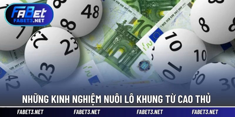 Những kinh nghiệm nuôi lô khung từ cao thủ 